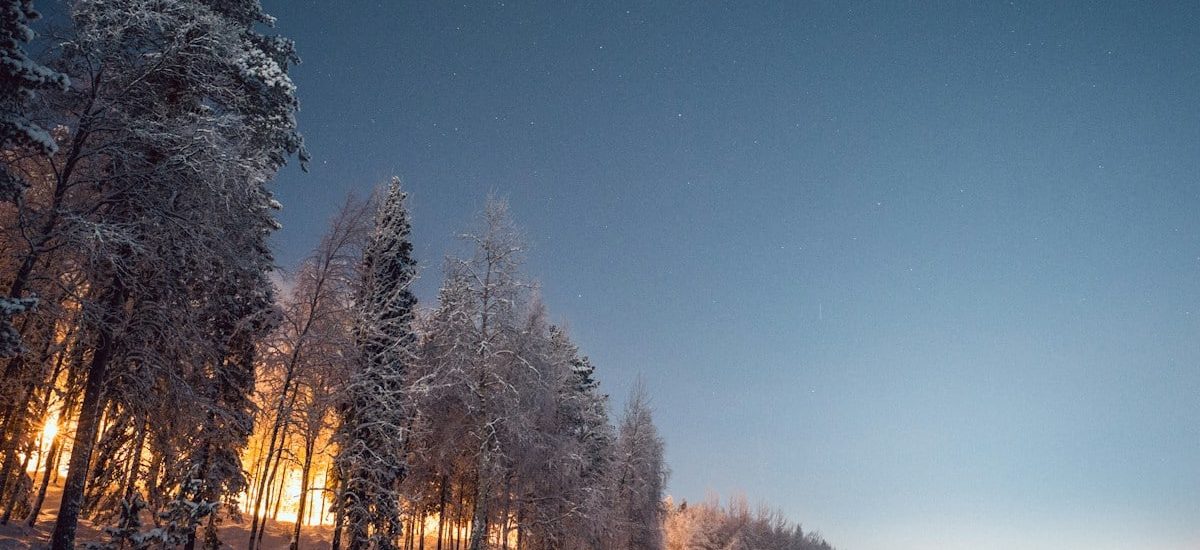 trees covered with snow under blue sky during daytime