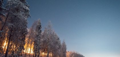 trees covered with snow under blue sky during daytime
