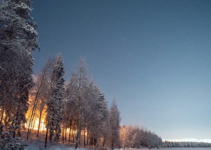 trees covered with snow under blue sky during daytime